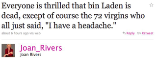 Illustration for article titled Celebs Have Mixed Feelings Over Osama Bin Laden's Death